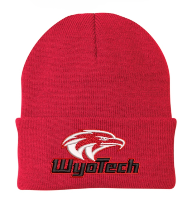 Folded Beanie