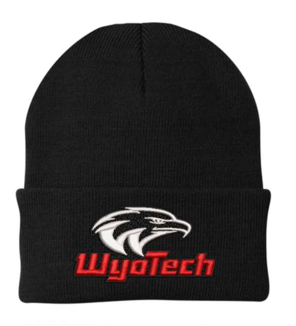 Folded Beanie